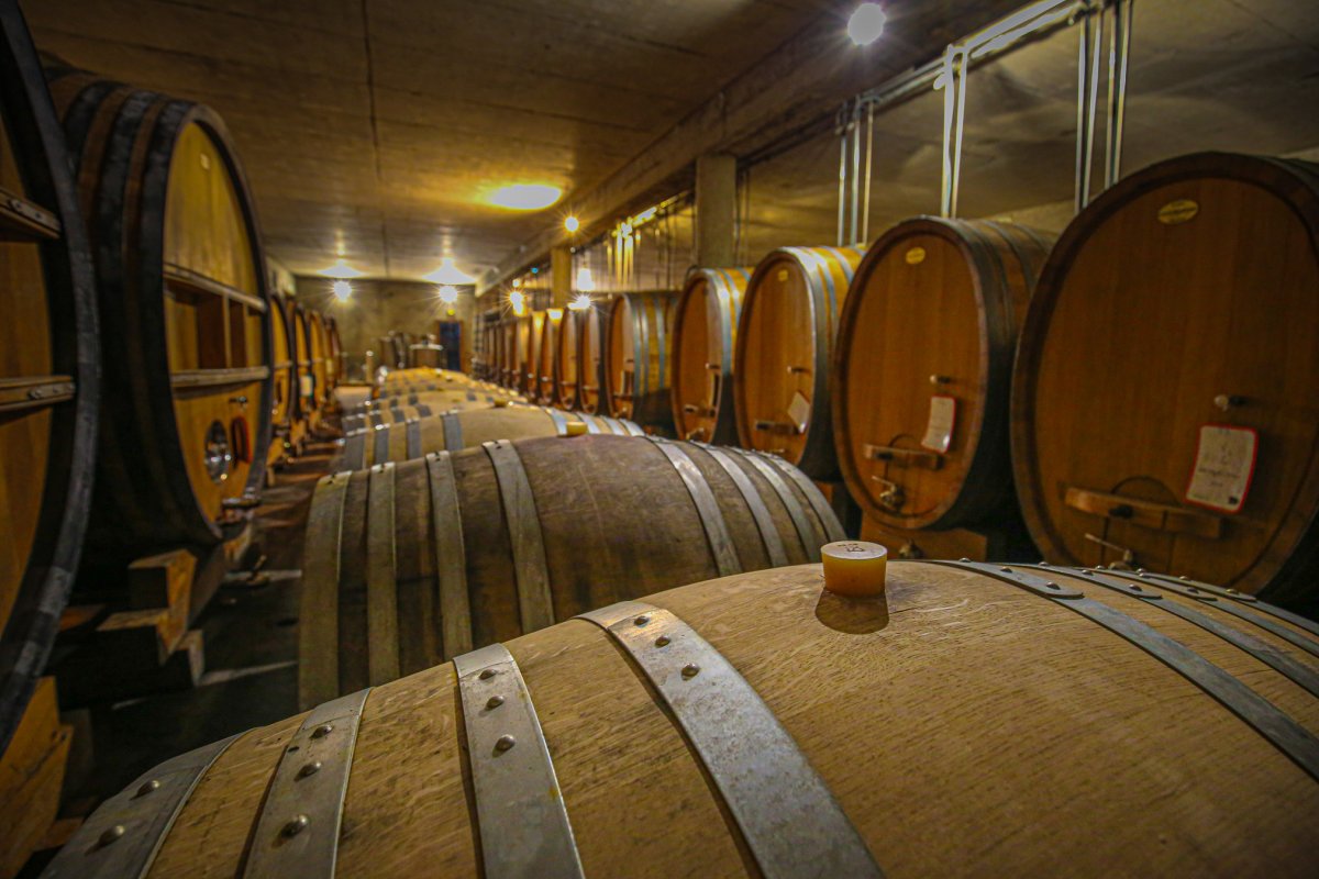 Chai du Clos Canarelli et dégustation de vins en Corse