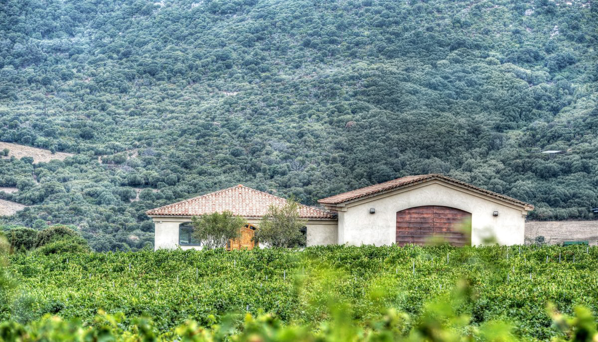 Vignes du Domaine Clos Canarelli à Figari en Corse-du-Sud